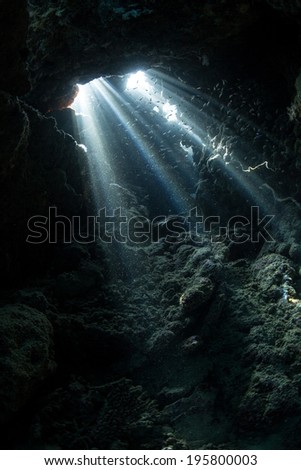 Bright beams of light filter down to illuminate an underwater cavern in Raja Ampat, Indonesia. This region is known as the heart of the Coral Triangle and has extremely high marine diversity.