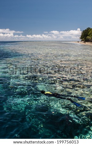 A snorkeler explores the edge of Big Dropoff, an impressive coral reef wall along Palau\'s barrier reef. Palau is known for its beautiful reefs and scenic rock islands.