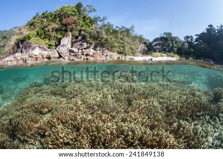 Warm, tropical water bathes the shore of a remote island in the Mergui Archipelago off the coast of Myanmar. These beautiful islands in the Andaman Sea are rarely visited.