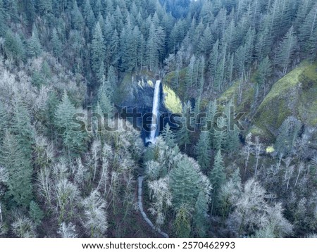 Similar – Image, Stock Photo Wild area Container