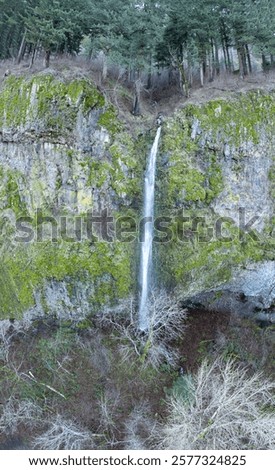 Similar – Image, Stock Photo Wild area Container