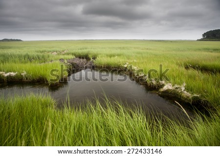 Clouds drift over a salt marsh on Cape Cod, Massachusetts. Marshes all over the world are vital habitats for many species of fish, invertebrates, and migrating birds.