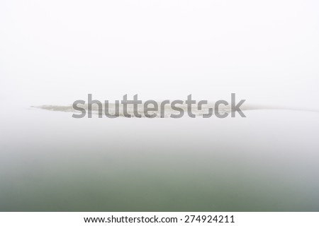 Fog settles over a salt marsh in a shallow bay on outer Cape Cod, Massachusetts. Marshes are ecologically vital to the environmental health of this region. They are habitat for a diversity of life.