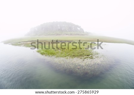 Fog creeps over a salt marsh on outer Cape Cod, Massachusetts. Marshes are ecologically vital to the environmental health of this region. They are habitat for a wide diversity of life.