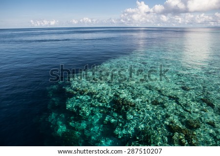 A shallow reef flat in Wakatobi National Park, Indonesia, leads to an impressive vertical drop off. This area, found just south of Sulawesi, harbors some of the Coral Triangle's most healthy reefs.