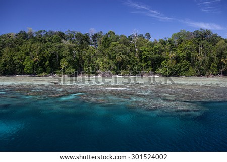 A beautiful and diverse coral reef fringes a tropical island in Marovo Lagoon, Solomon Islands. This lagoon encompasses the Marovo Lagoon World Heritage Area and is popular for diving and snorkeling.
