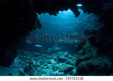 Similar – Image, Stock Photo underwater Environment