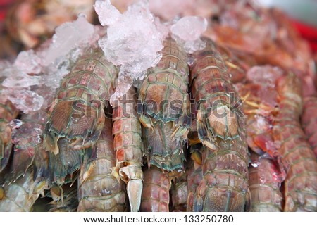 Thai Food - Mantis shrimp