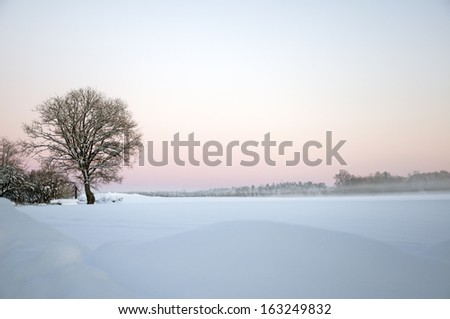 Winter landscape. Winter wonderland. A snow covered field with a pink winter sky.