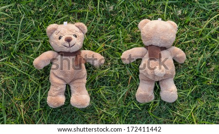 Two TEDDY BEAR brown color with scarf on the grass,front and back side