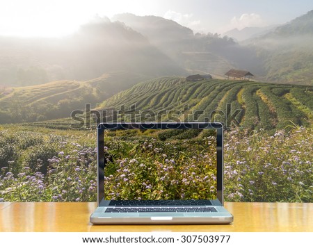 Conceptual image of a computer laptop on Tea field when sunrise with fog, Doi angkhang, Chiangmai province, Thailand