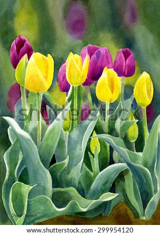 Yellow and red violet tulips with background vertical design. Bright yellow tulips with red violet or purple tulips with blue green leaves with a background painted with yellow, green and red violet