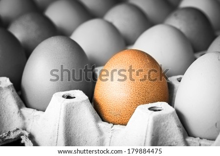 eggs in paper tray