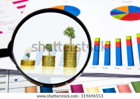 magnifying glass see trees growing on golden coins with financial chart documents, investment concept