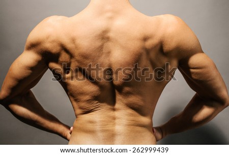 Image of muscular bodybuilder\'s back.