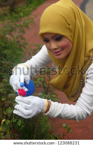 A young muslim girl with hijab (head scarf) doing some gardening work with the red rose flower