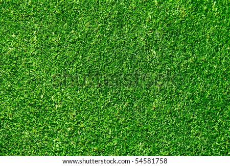 The real green grass background - golf field