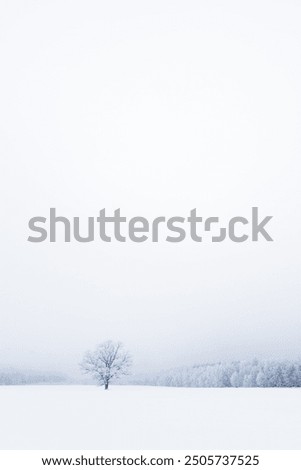 Similar – Image, Stock Photo Bäume im Schnee von oben