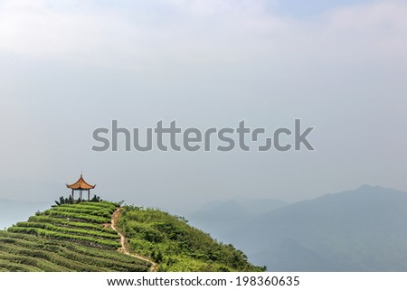 Chinese tea mountains and the Chinese Pavilion