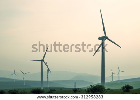 Windmill grass Foto d'archivio © 