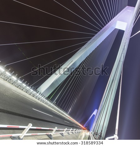 Night cable-stayed bridge