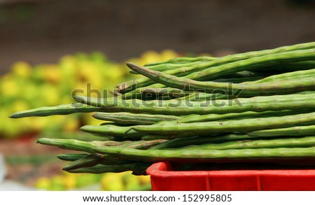 Drumstick Vegetable or Moringa