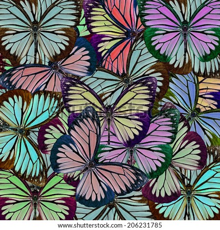 Beautiful pattern background texture made from compilation of colorful butterfly.