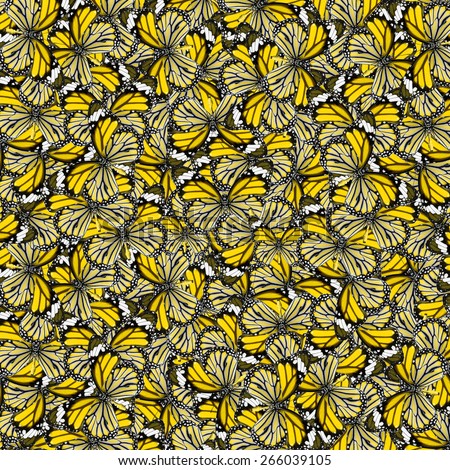 Butterfly, beautiful abstract pattern background texture made from compilation of Yellow butterfly.