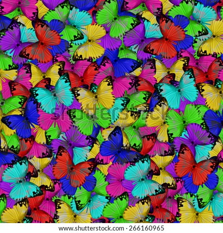 Butterfly, beautiful abstract pattern background texture made from compilation of colorful butterfly.
