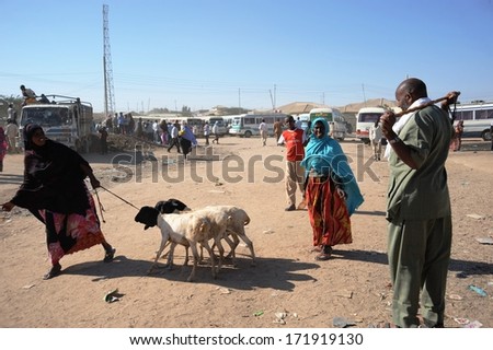 HARGEISA, SOMALIA - JANUARY 8, 2010: Hargeisa - the largest city in Somaliland, the second largest city in Somalia. Livestock is the main occupation of the local population. The livestock market.