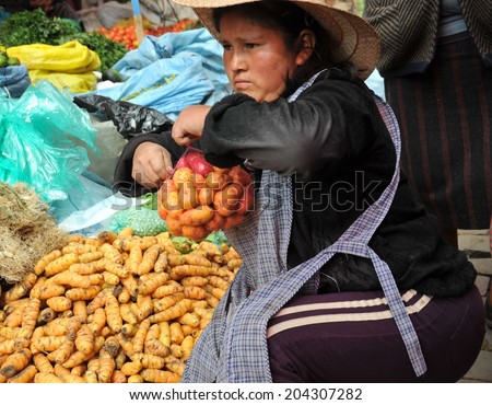 LA PAZ, BOLIVIA - SEPTEMBER 5, 2010: Large high city and actual capital in the Central part of South America. The majority of the population lives in poverty. Women selling on the street of La Paz.