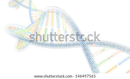 colorized DNA model, on white background, 3D rendering with Depth of Field (DoF)