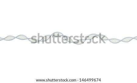 colorized DNA 3D model on white background, horizontal layout, very long DNA chain