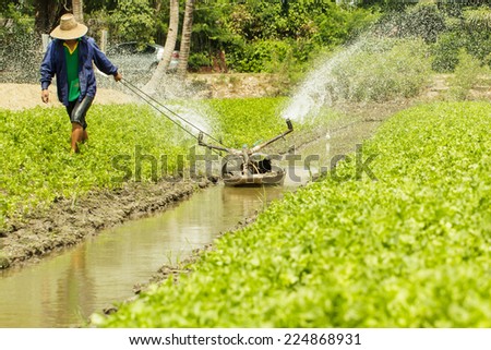 Farmer people work in the urban farming field
