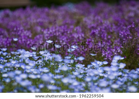 Shutterstock Puzzlepix