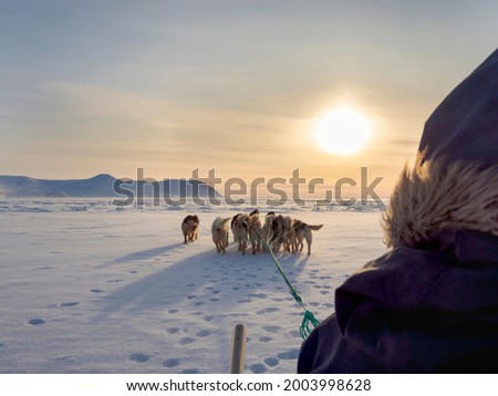 Inuit hunter on dog sled on the sea ice of the Melville Bay near Kullorsuaq in North Greenland.