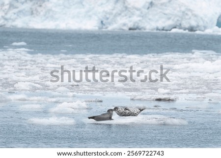 Similar – Image, Stock Photo Small ice floes on the Hohenzollern Canal