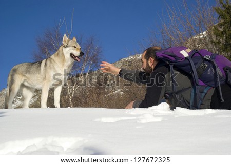 Man playing with Czechoslovakian wolf dog