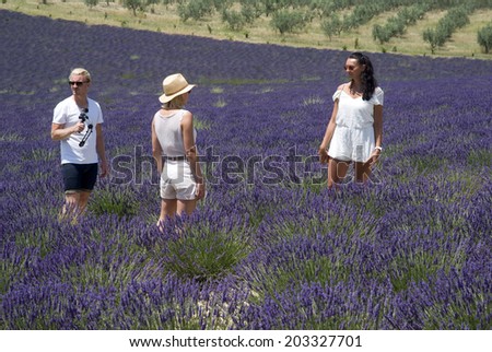 VALENSOLE, FRANCE - JUNE 27, 2014: A tour guide provides information to individual clients at famous lavender fields of the Plateau Valensole in Provence, South-eastern France