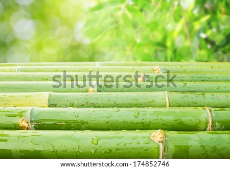 green bamboo background with water drops.