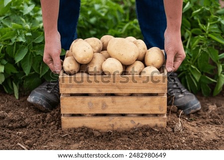 Similar – Image, Stock Photo Workers are planting potatoes on the field. Automation of the process of planting potato seeds. Agricultural technologies. Agroindustry and agribusiness. New technological solutions to simplify work.