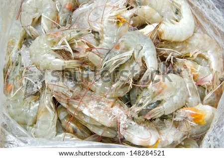 Low price Fresh shrimp in the market