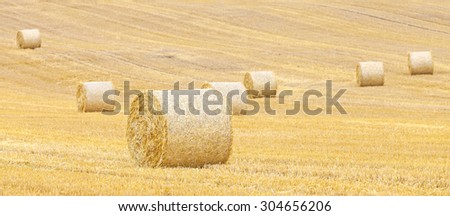 Panoramic view of hay bales on harvested field, nature banner background.