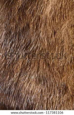 Brown mink fur background, extreme close-up