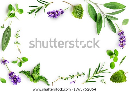 Rosemary, mint, lavender, marjoram, sage, lemon balm and thyme set. Creative frame with fresh herbs on white background. Top view, flat lay. Healthy eating and alternative medicine concept
