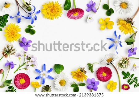Similar – Image, Stock Photo scilla Meadow Flower