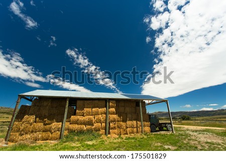 hay for cattle under the open canopy of the countryside, hills and blue sky New Zealand.