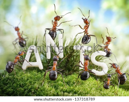 We Are The Ants. ant tales.