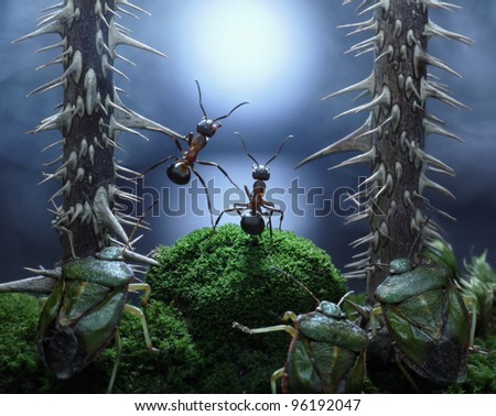 no monsters at Rotten Swamp!! ants stories, thriller.  focused on ants
