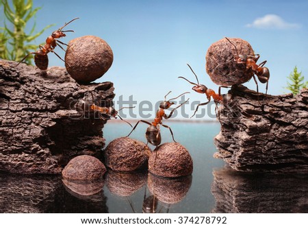 Image, Stock Photo Bank at the dike with branches and fog